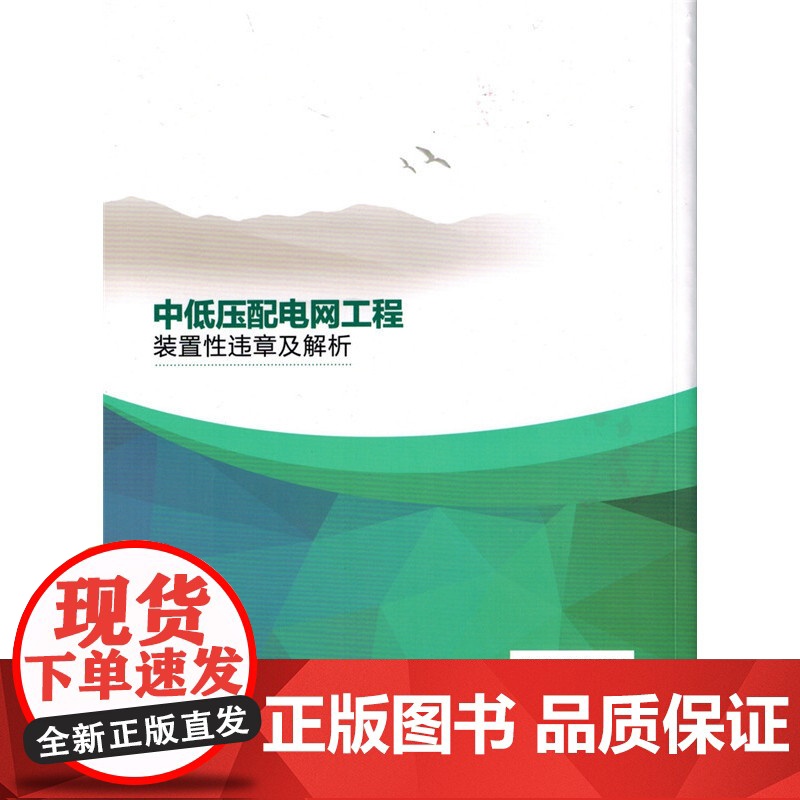 中低压配电网工程装置性违章及解析高清大图