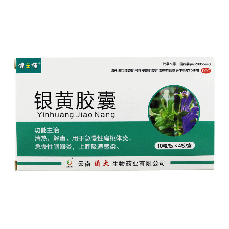 40粒]健之佳银黄胶囊0.3克*10粒*4板 清热解毒 扁桃体炎 云南通大高清大图