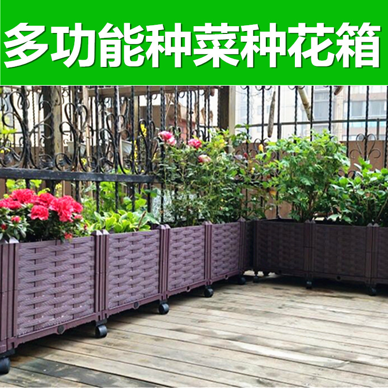 特大阳台种植箱长方形种菜神器家庭菜园种菜塑料花盆种葡萄十联加深 长390宽39高35 特大图片 高清实拍大图 苏宁易购