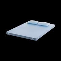 8H双重抗菌床垫保护垫 LD10蓝色【送枕套】 150cmx200cm