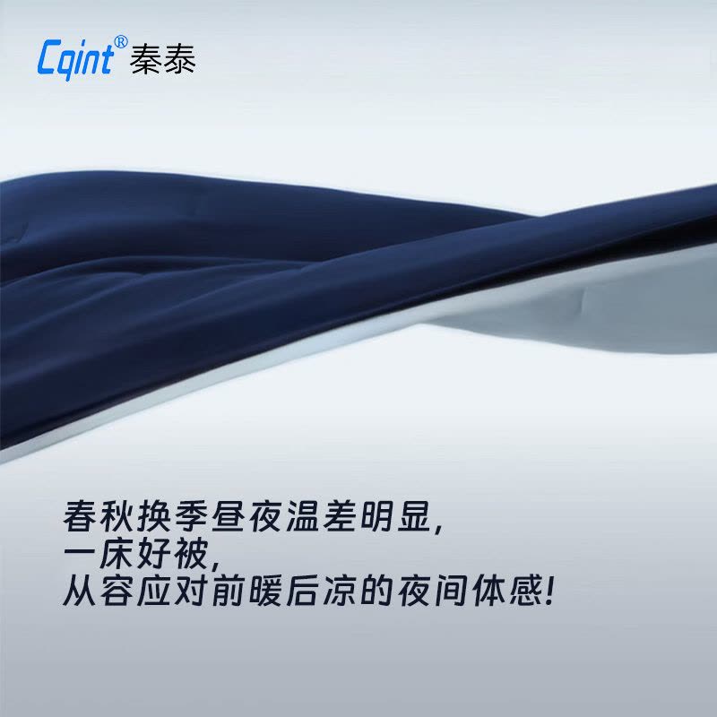 秦泰(Cqint)240427 深睡子母被拉链款 200*230cm 3.2kg 蓝色图片