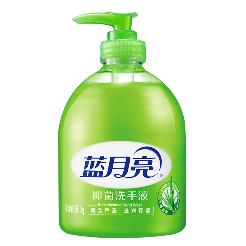 蓝月亮 80000581 芦荟抑菌洗手液 500g×12(瓶)