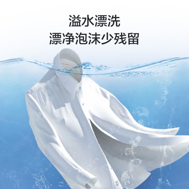 海尔(Haier)10公斤 大容量 双缸洗衣机 半自动 二级能效 宽电压 双电机 XPB100-81D2图片