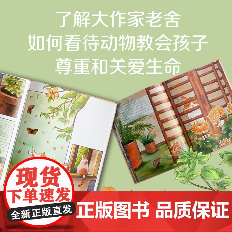 大家小绘:猫高清大图