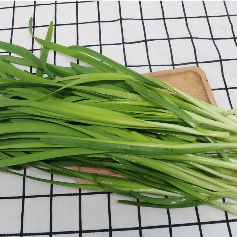 赛卡伊新鲜头茬韭菜山东潍坊现割现发露天嫩韭菜12345斤
