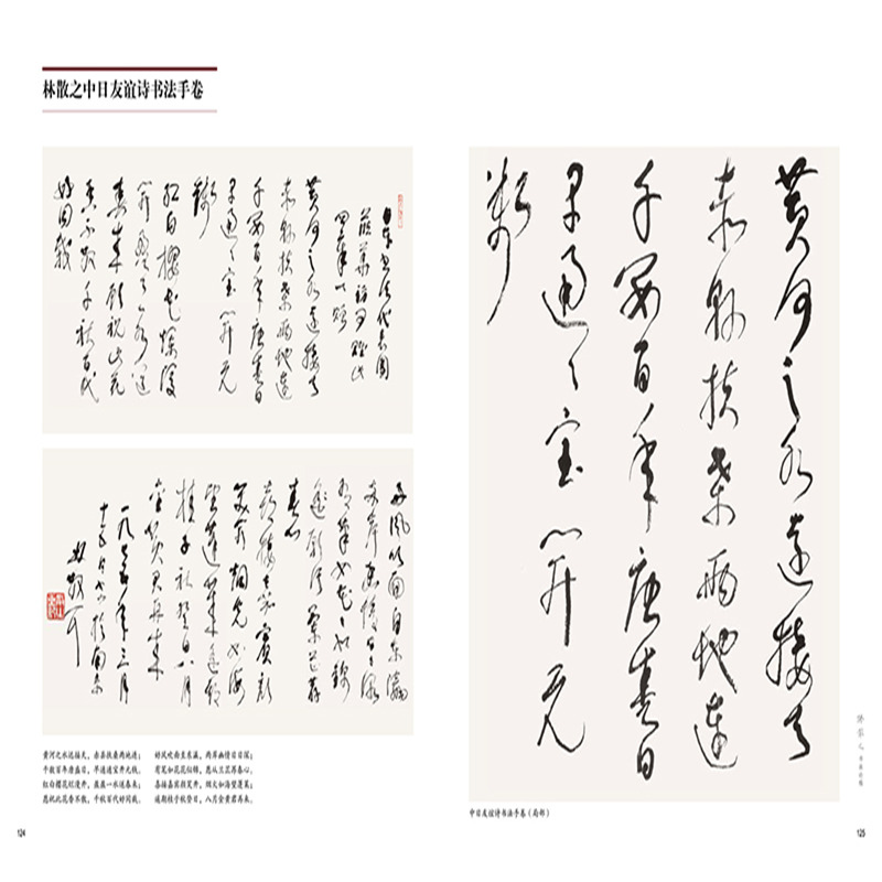 醉染图书林散之书画论稿97875586105高清大图