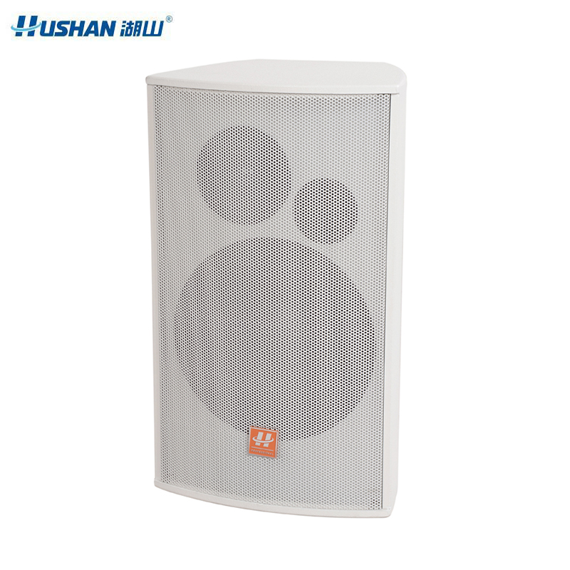 湖山专业会议音箱 HY100C(支)高清大图