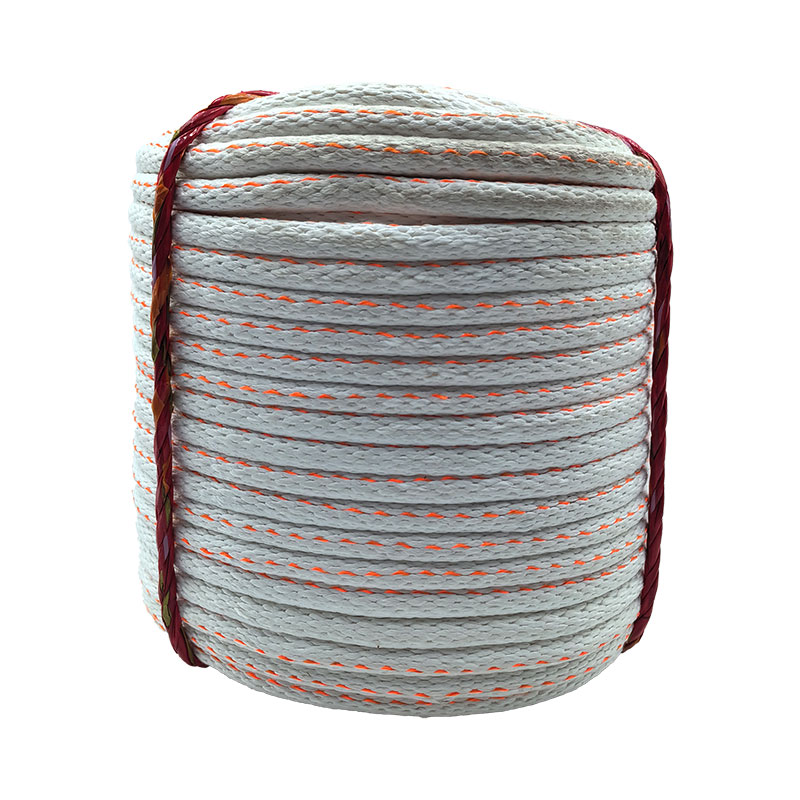 昌赞 尼龙绳 12mm 盘高清大图