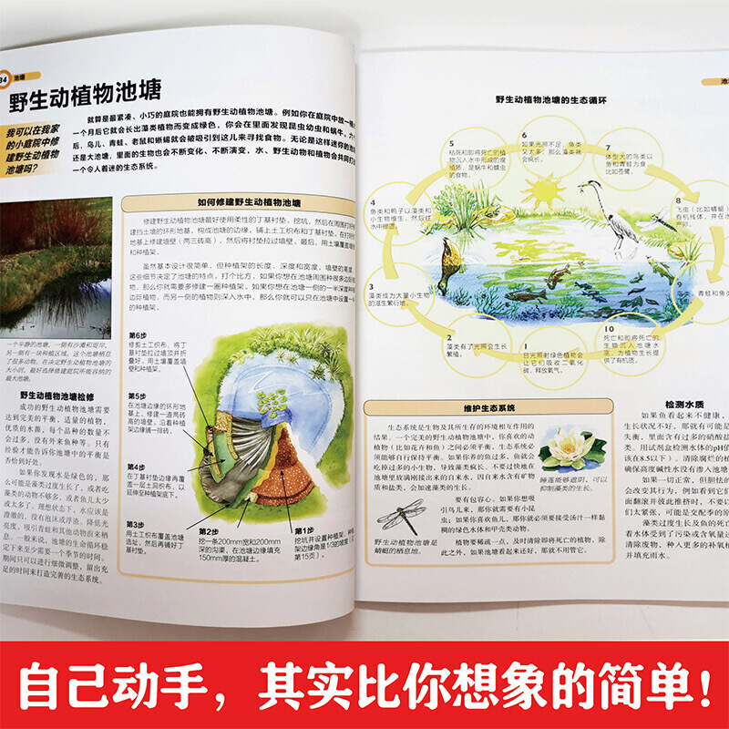 [正版]庭要素 雅舍清池 家庭庭院池塘设计与打造 庭院景观设计书籍工具材料选择庭院修建植物种植养护技巧吸引小动物园艺书高清大图