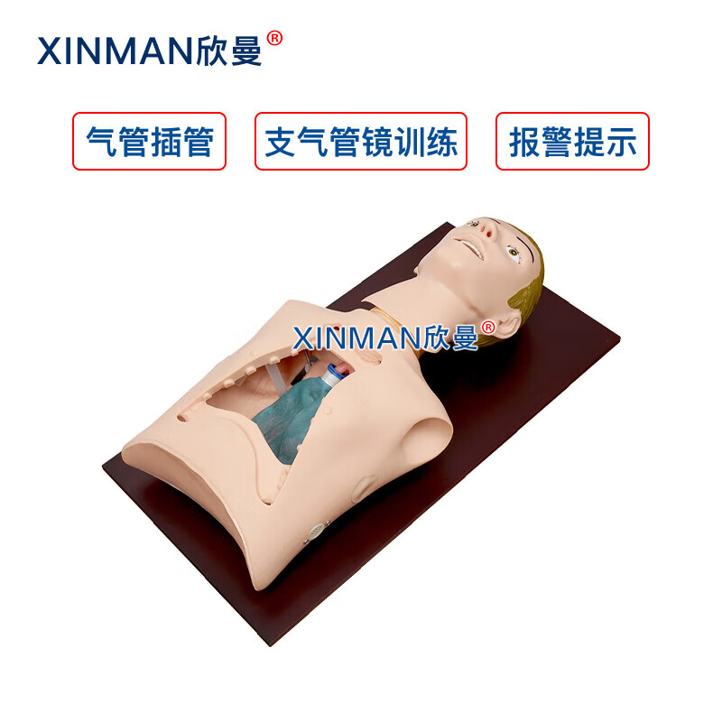 欣曼科教 纤维支气管内窥镜操作训练模型 支气管镜练习模拟人XM-LV48高清大图
