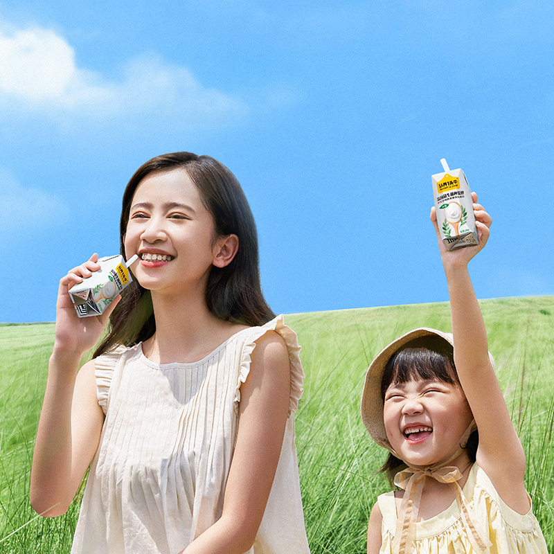 认养一头牛-C 法式原味酸奶200g*12盒*2箱(两提装) 法国益生菌种发酵 风味酸奶 经典原味 常温益生菌酸奶