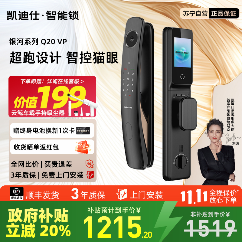 凯迪仕 Q20VP