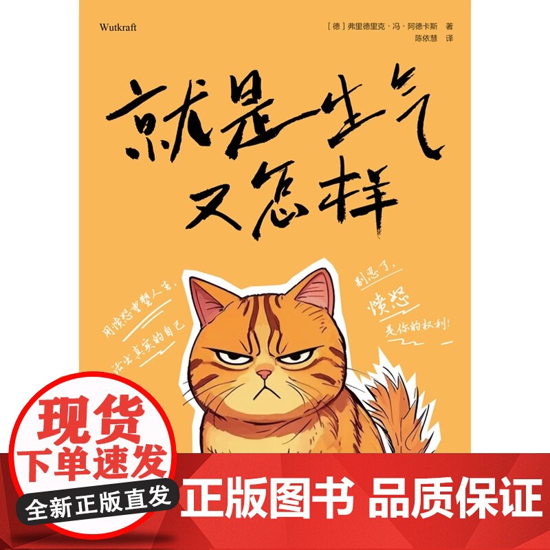 正版 就是生气又怎样 弗里德里克 冯 阿德卡斯活出真实的自己 心灵疗愈书籍认识愤怒拒绝自我怀疑找到自我增强自信 东方高清大图