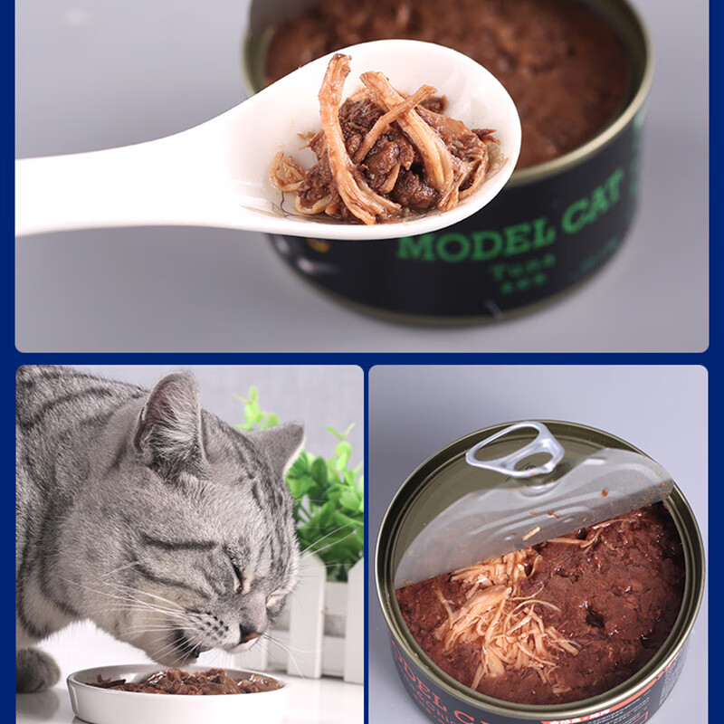 麦富迪猫罐头 模特猫主食罐幼猫成猫通用型猫湿粮 金枪鱼170g*6罐高清大图