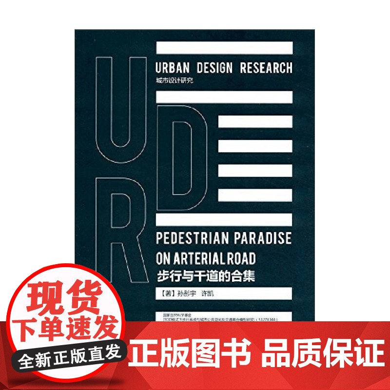 步行与干道的合集 孙彤宇等 著 建筑高清大图