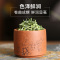 明芽绿茶碧螺春明前春茶散装高山云雾绿茶100g