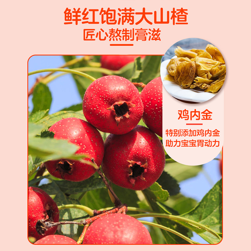 南京同仁堂乐家老铺山楂六物膏棒棒糖10支*1盒