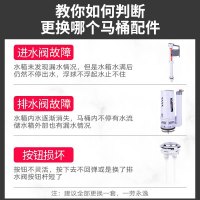 亲卫马桶配件马桶排水阀 老式连体马桶坐便器抽水密封圈垫出水通用型家用座便器冲水器马桶水箱出水阀