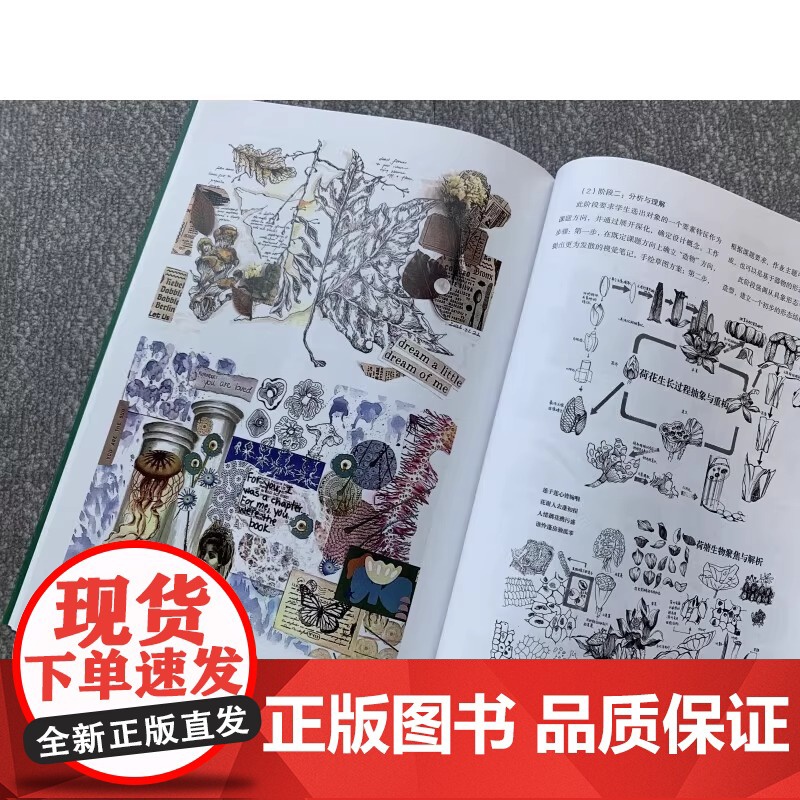 设计基础与应用 李悦 孙嘉安 正版 设计 上海人民美术出版社 新思维高等院校应用本科设计类专业教材高清大图