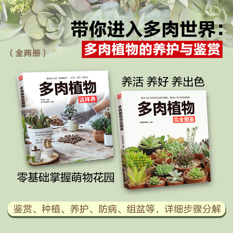 [醉染正版]养花书籍 2册多肉植物这样养 完全图鉴大全 正版家庭阳台院子多肉种植方法技巧 绿植盆景鉴赏养护大全 常见病虫高清大图