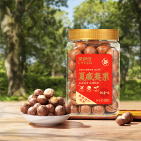 来伊份 罐装夏威夷果500g 每日坚果仁干果类零食小吃特产送礼量贩装