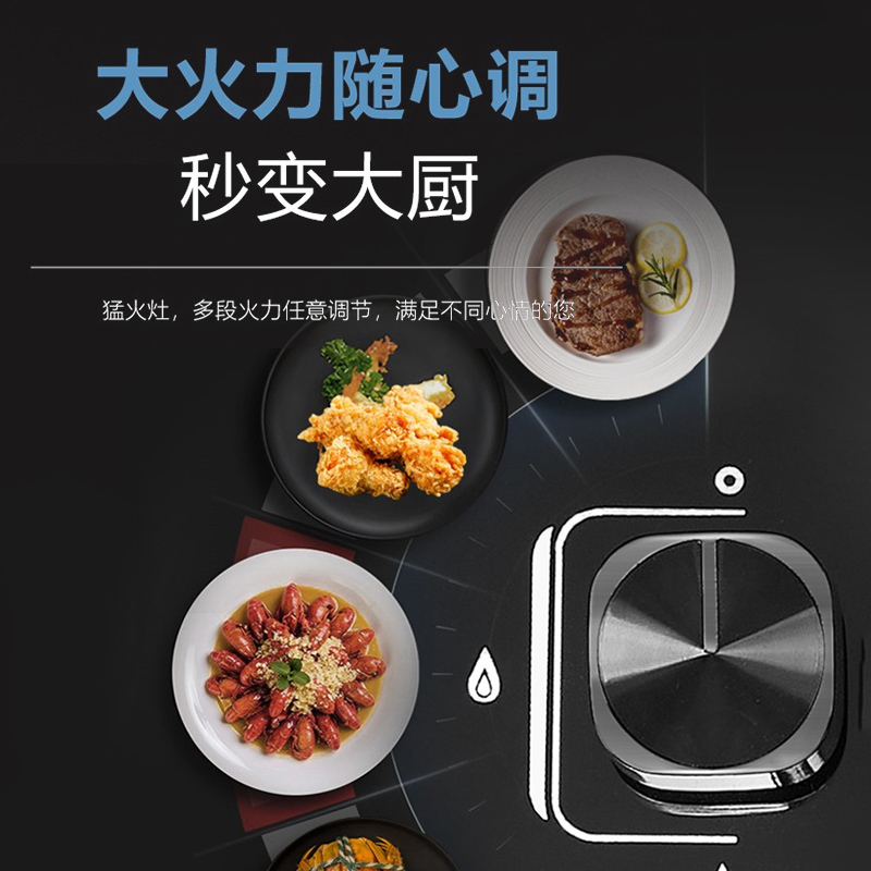 施耐德(Schneider)燃气灶双灶5.2KW猛火灶一级能效天然气 全进风大火力台嵌两用JZT-T34