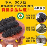 宫品淡干单只营养海参4-4.5cm 1只 每满20只赠1只 威海大连双基地随机发 辽刺参大连海参国产生鲜袋装