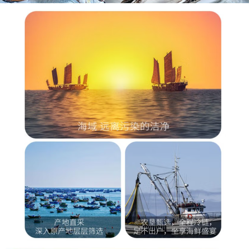 鲜禾鲜 海捕小将国产海鲜礼盒B 甄选美味 新鲜营养 3250g 单盒价高清大图