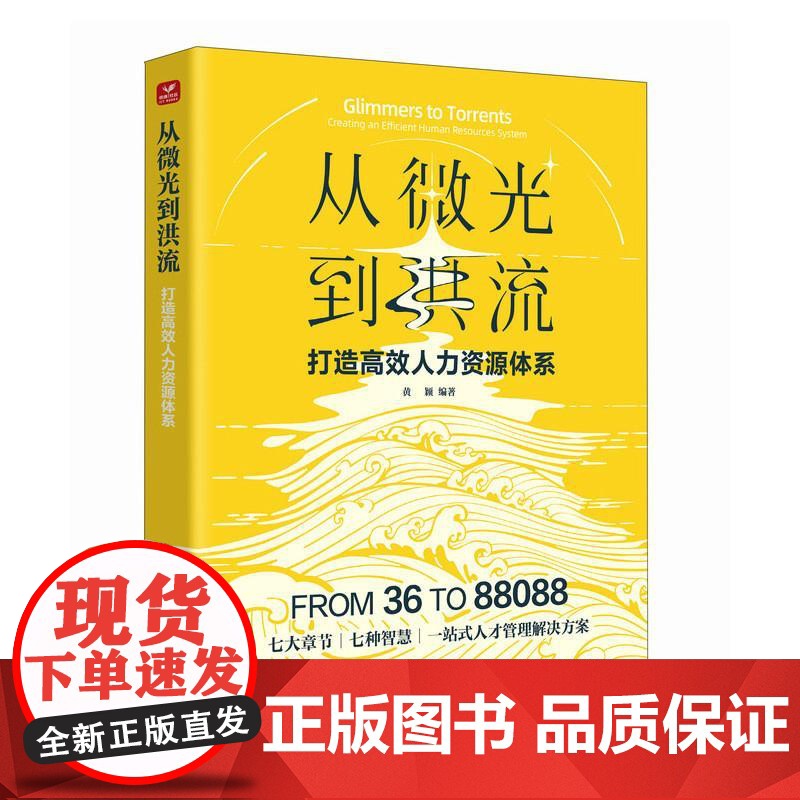 从微光到洪流:打造高效人力资源体系 黄颖 人民邮电出版社高清大图