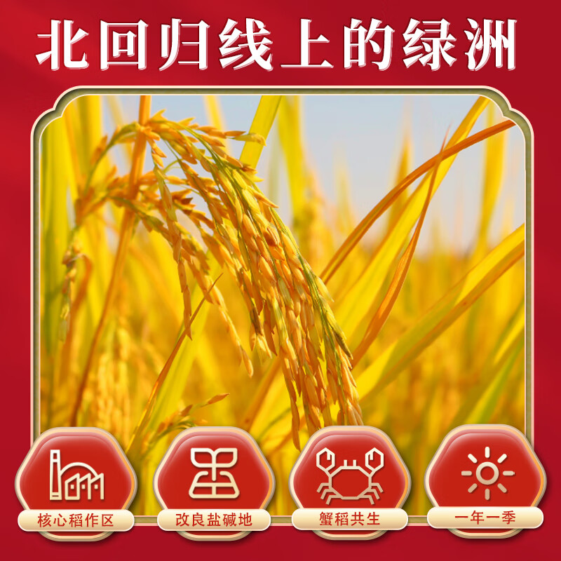 隆平芯米袁谷(东北大米)5kg高清大图