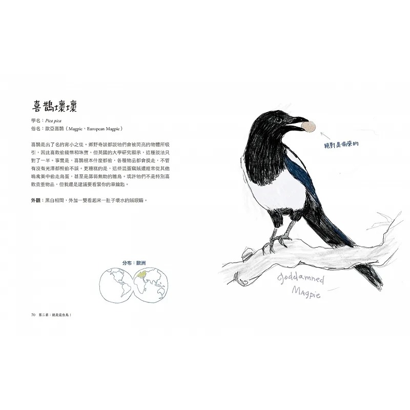 [正版]在途 鸟事一堆!超崩溃鸟类观察笔记:来自全世界,集结海陆空,六种体型、七大劣根性 马特.克拉赫特 北美傻鸟观察高清大图