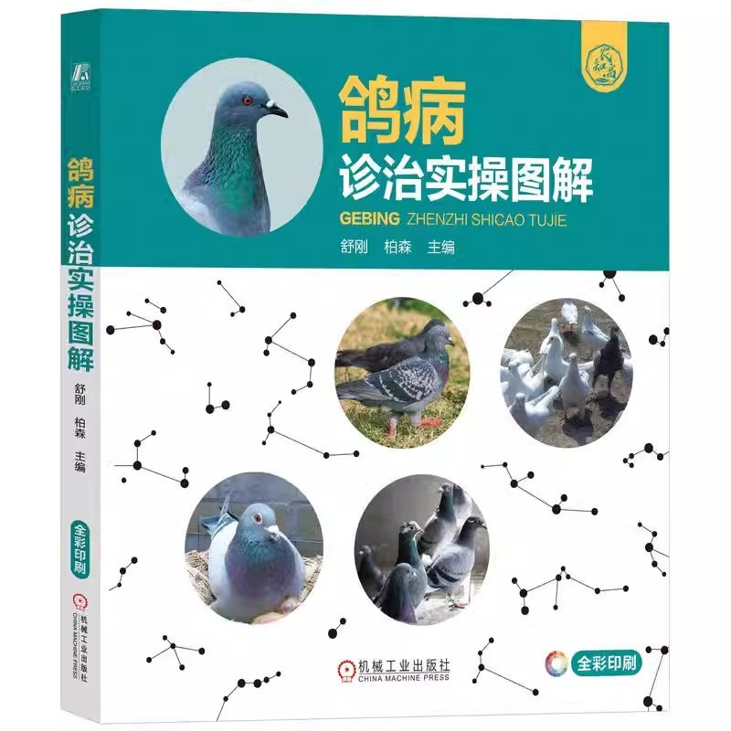 [正版]鸽病诊治实操图解 舒刚 柏森 看图识病 类症鉴别 综合防治 高效养鸽 手把手教你科学治疗鸽病 鸽病综合防控技术