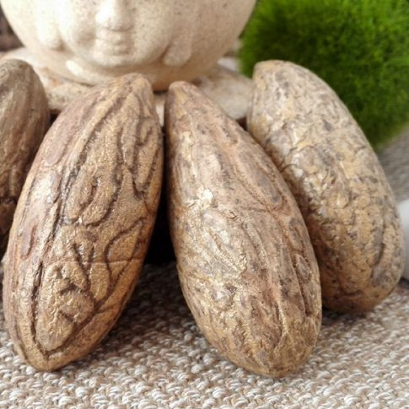 千眼菩提原籽超大千眼菩提子红绿风化果黑皮红纹千眼菩提果手把件