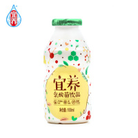 宜养经典小清新乳酸菌100ml*12瓶 酸奶饮品