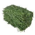 22年新鲜草苜蓿草宠物饲料豚兔子龙猫鼠粮宠物牧草A级苜蓿草2LB_401_394