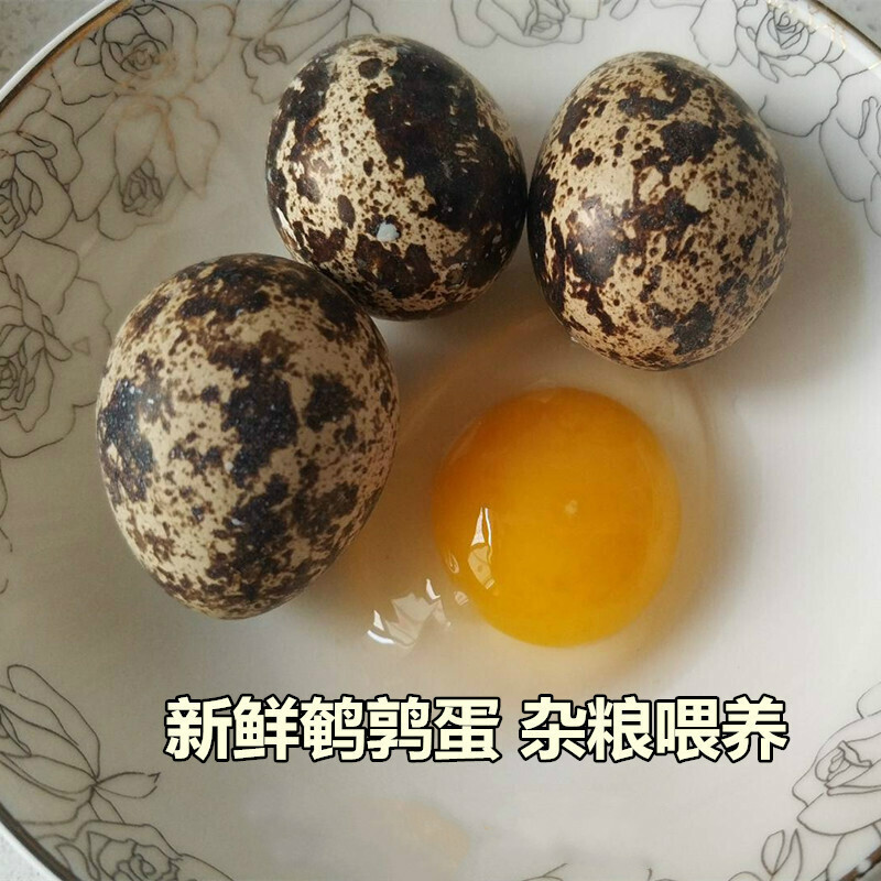 桃小淘 新鲜生鹌鹑蛋50枚 农家散养 非鸡蛋鹅蛋鸽子蛋鸭蛋