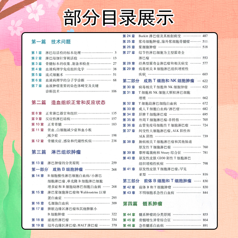 [正版]血液病理学 第二版第2版造血和淋巴瘤白血病骨髓组织肿瘤WHO分类流式细胞术病变技术 人民卫生出版社高清大图