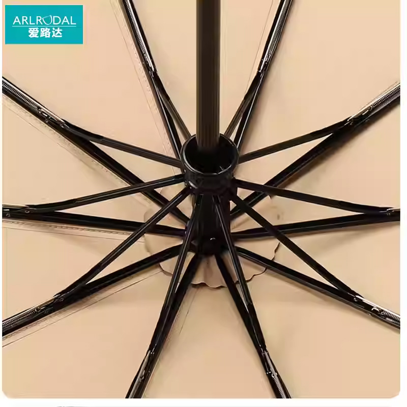 爱路达 自动彩胶晴雨两用遮阳伞10骨 Y51/把高清大图
