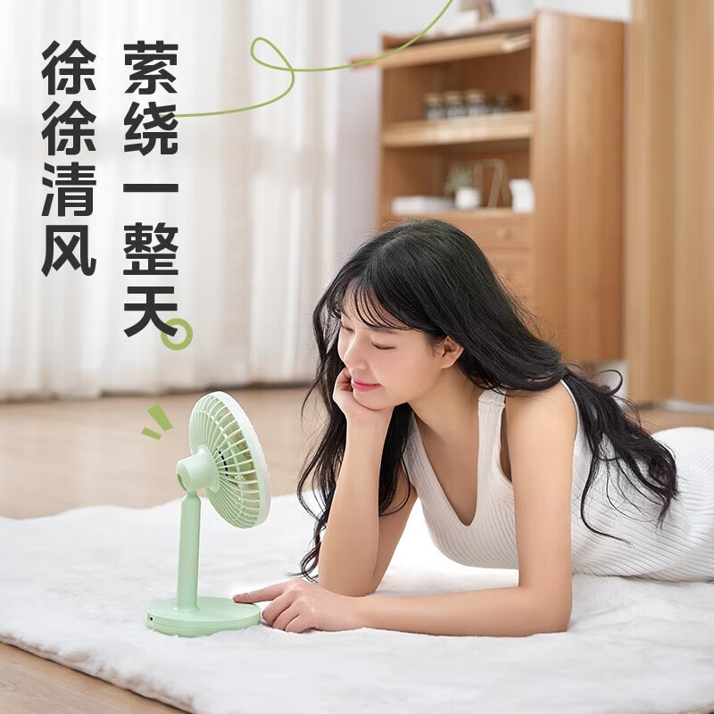 美的(Midea)电风扇家用风扇空气循环扇桌面小风扇手持迷你电扇便携小型宿舍轻音节能台扇 [台挂两用]TDG12B高清大图