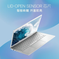 戴尔(DELL) 灵越7391-1525 13.3英寸 轻薄本窄边框笔记本电脑（i5-10210U 8GB内存 256GB固态 MX250-2G独显高色域 指纹）