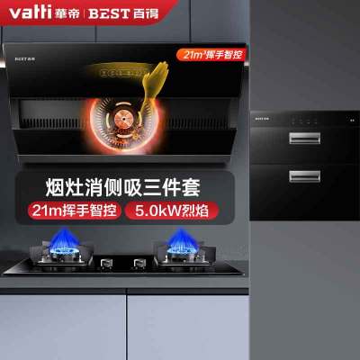 华帝百得油烟机燃气灶套装家用厨房三件套烟灶套餐侧吸式烟机灶具两件套E135C+QE53+DX11(液化气)