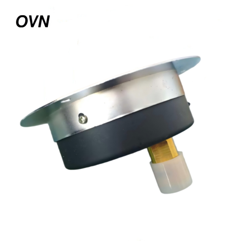 OVN 普通压力表 Y-100轴向带边 块高清大图