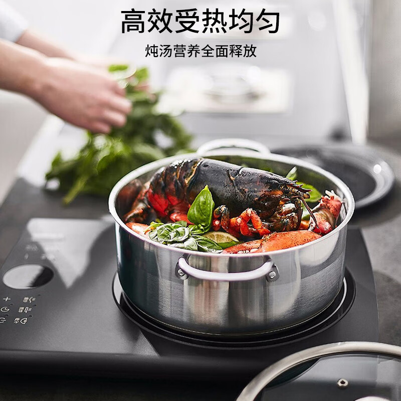 九阳电磁炉 C22-F5 赠:汤锅+炒锅(单位:台)高清大图