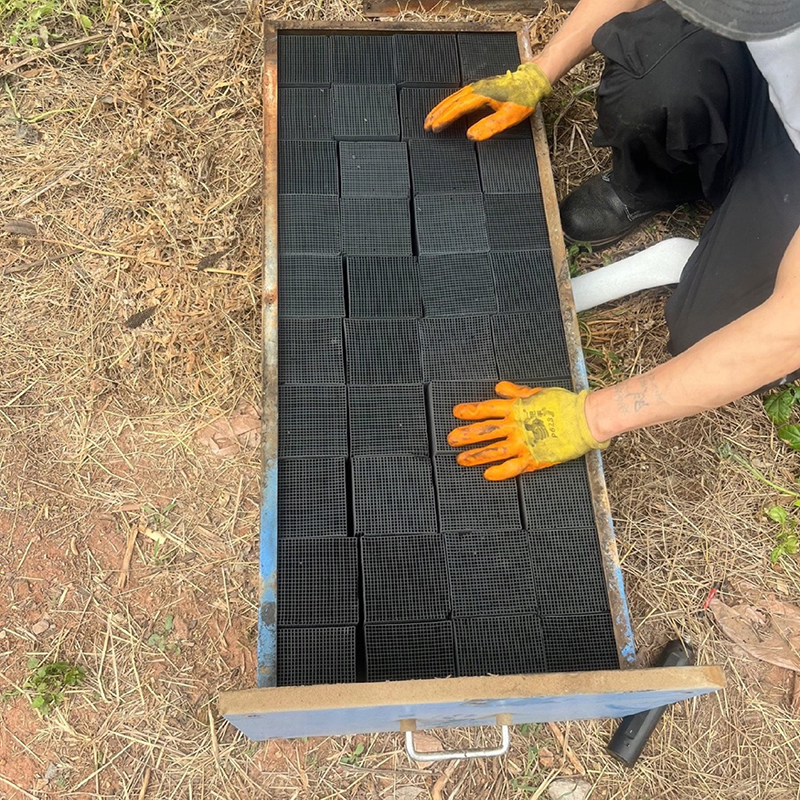 洋蝲蝲 活性炭 18块/箱高清大图