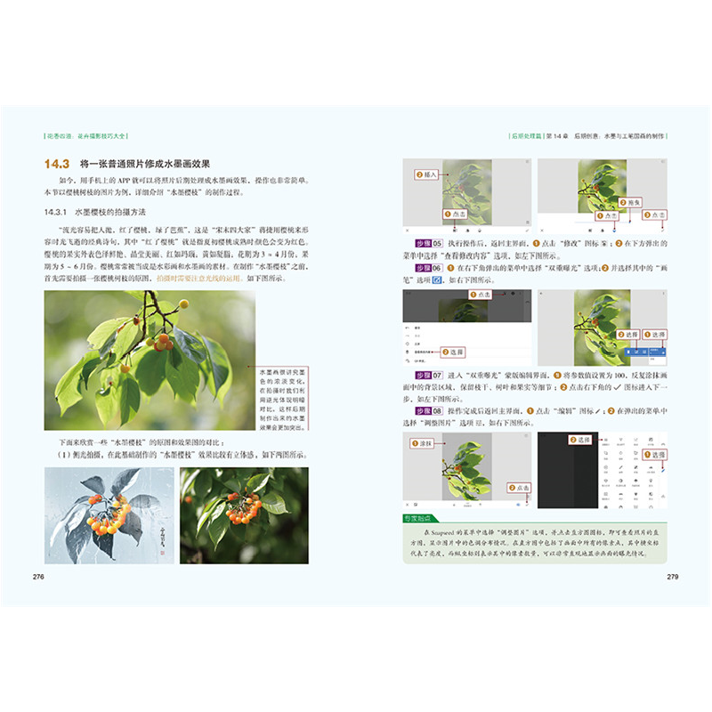 醉染图书花香四溢:花卉摄影技巧大全9787127105高清大图