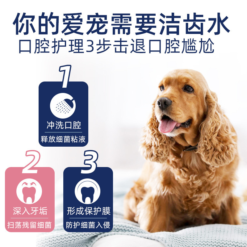 雪貂留香 宠物洁齿水300ml 猫用 猫咪口腔清洁用品 宠物口清洁