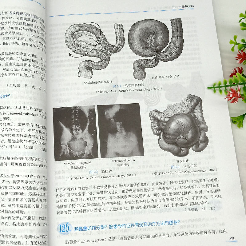 单本全册 [正版]消化内科主治医生550问 现代主治医生提高丛书 内科学医学书籍 任旭 杨幼林 张德凯主编 978756