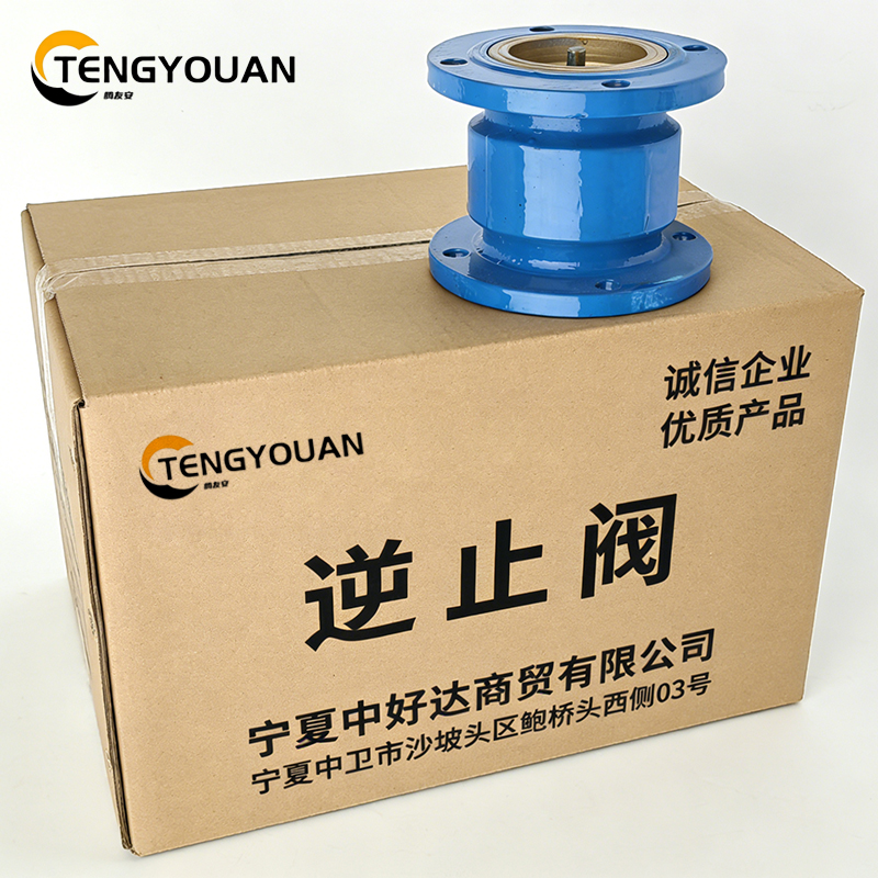 腾友安逆止阀DN40/个高清大图