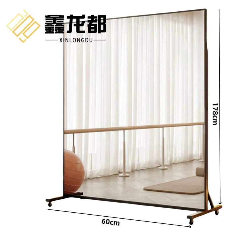 鑫龙都 穿衣镜60cm 个
