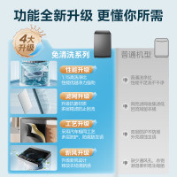 美的(Midea)波轮洗衣机全自动家用 MB80V36T 8公斤 免清洗 宿舍租房 随心洗 以旧换新 家电国家补贴
